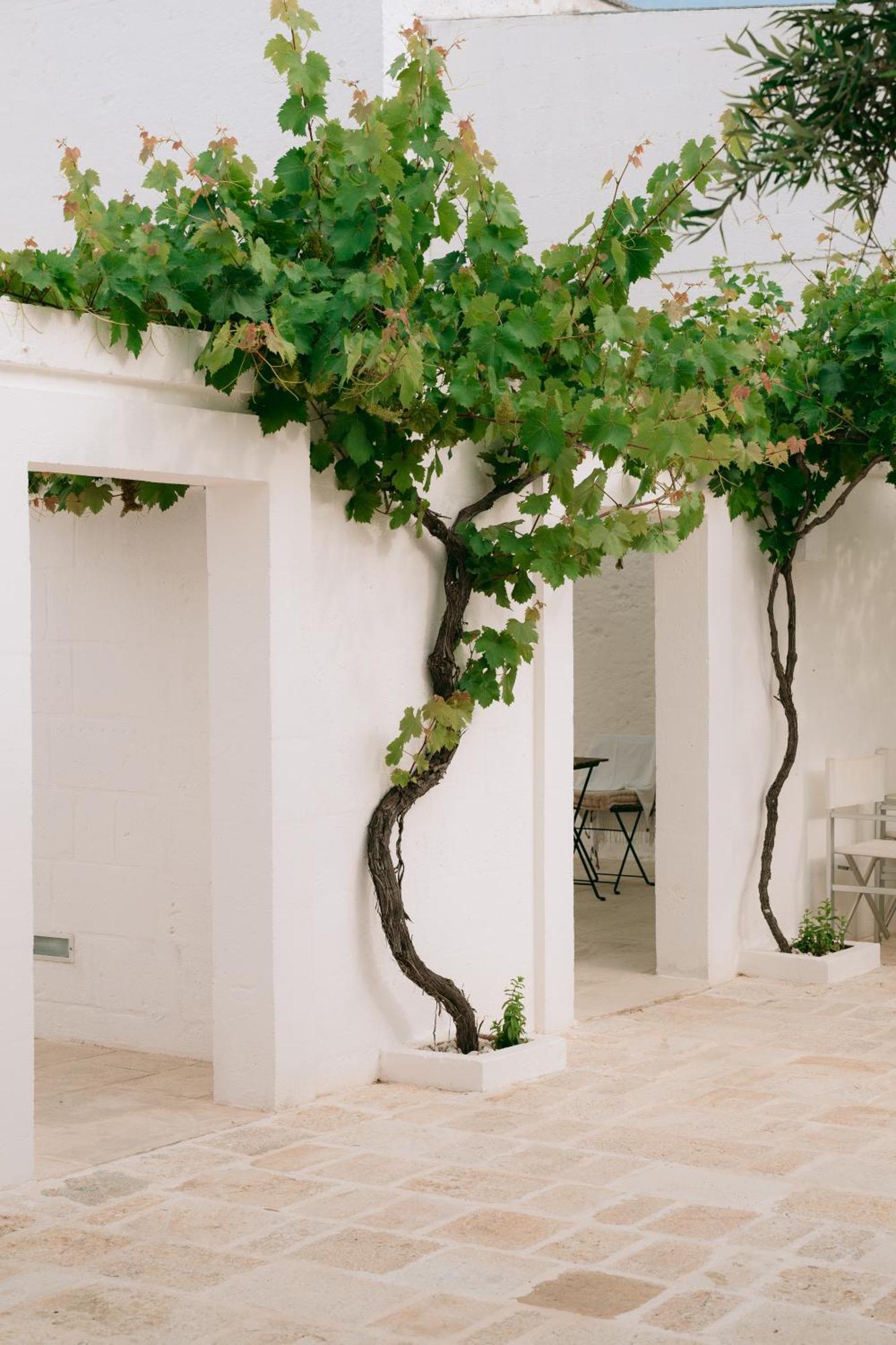 Oltre Gli Ulivi Bed & Breakfast Ostuni Eksteriør bilde