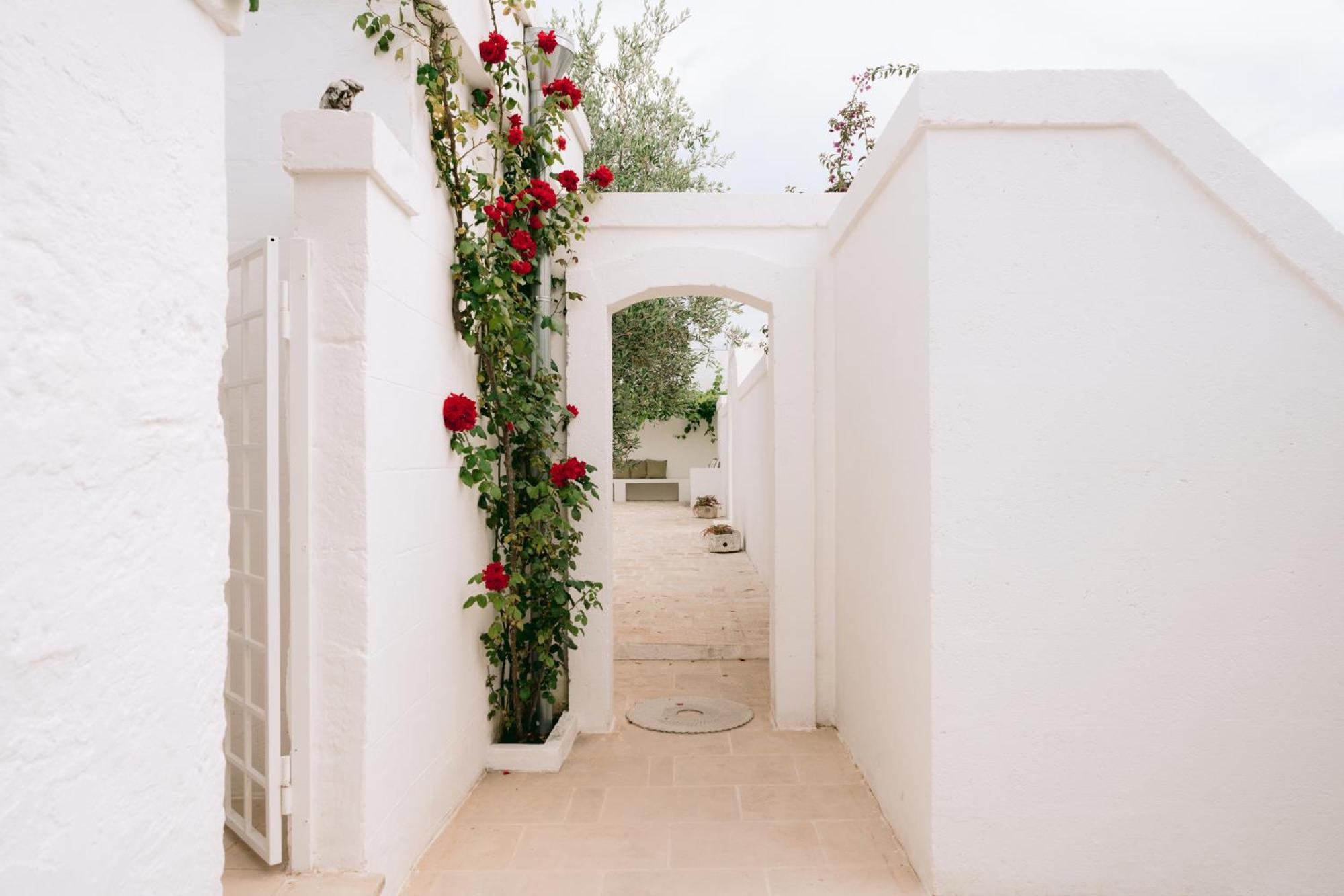 Oltre Gli Ulivi Bed & Breakfast Ostuni Eksteriør bilde