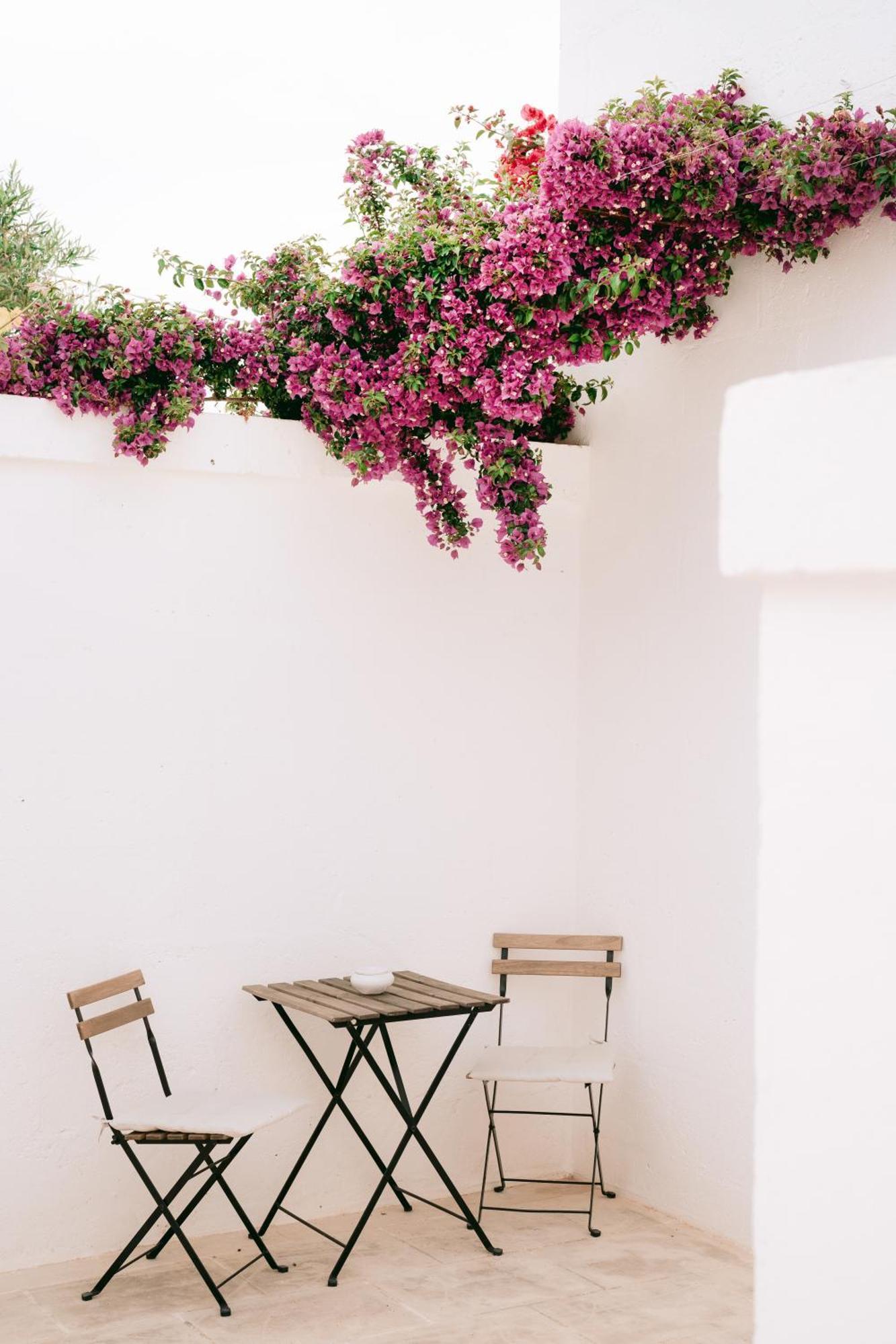Oltre Gli Ulivi Bed & Breakfast Ostuni Eksteriør bilde