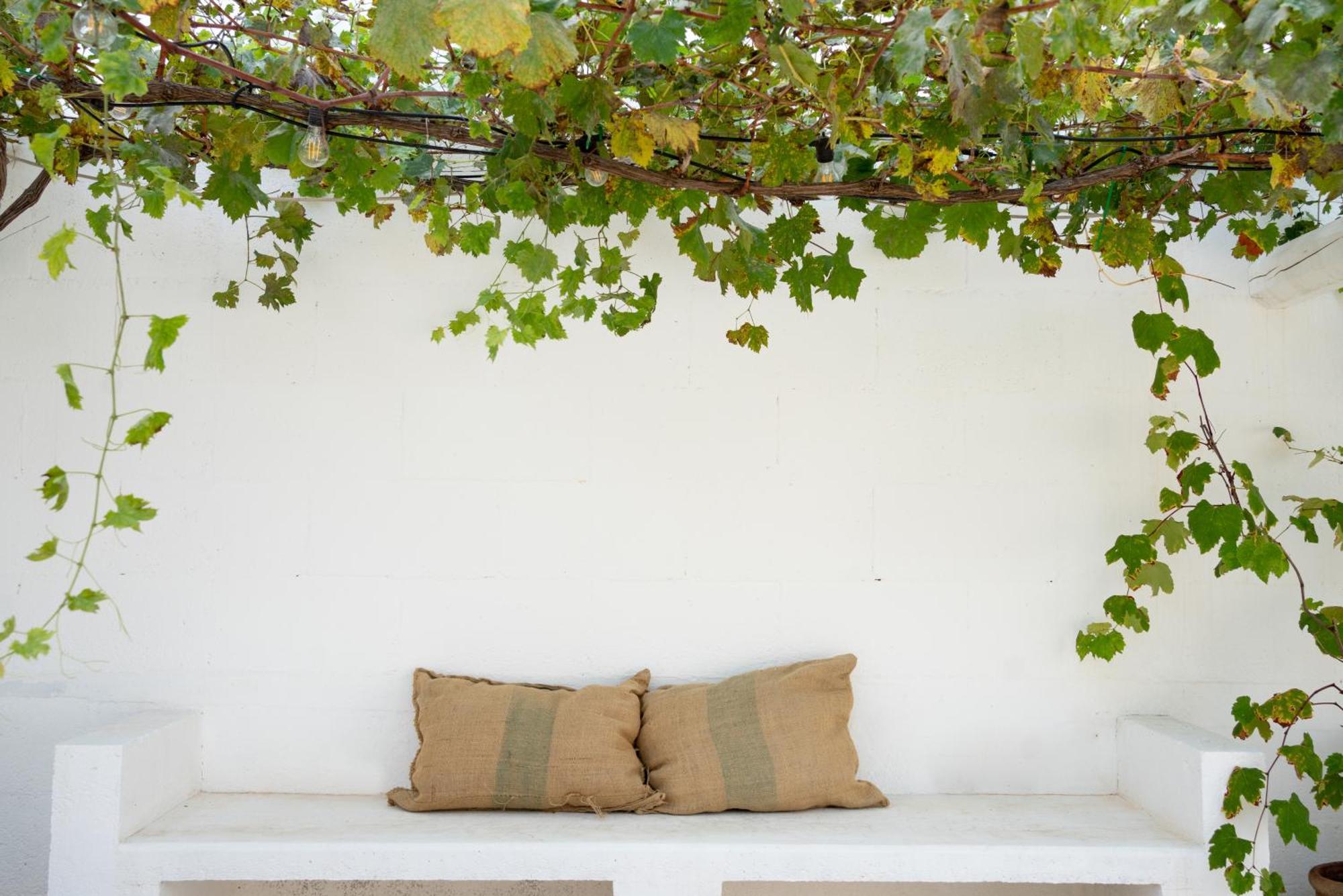 Oltre Gli Ulivi Bed & Breakfast Ostuni Eksteriør bilde